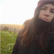 Clases de apoyo económicas de ingles para niños y adultos